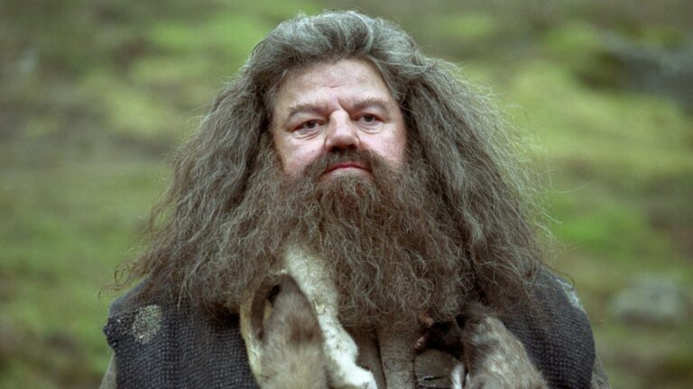 Robbie Coltrane as Hagrid