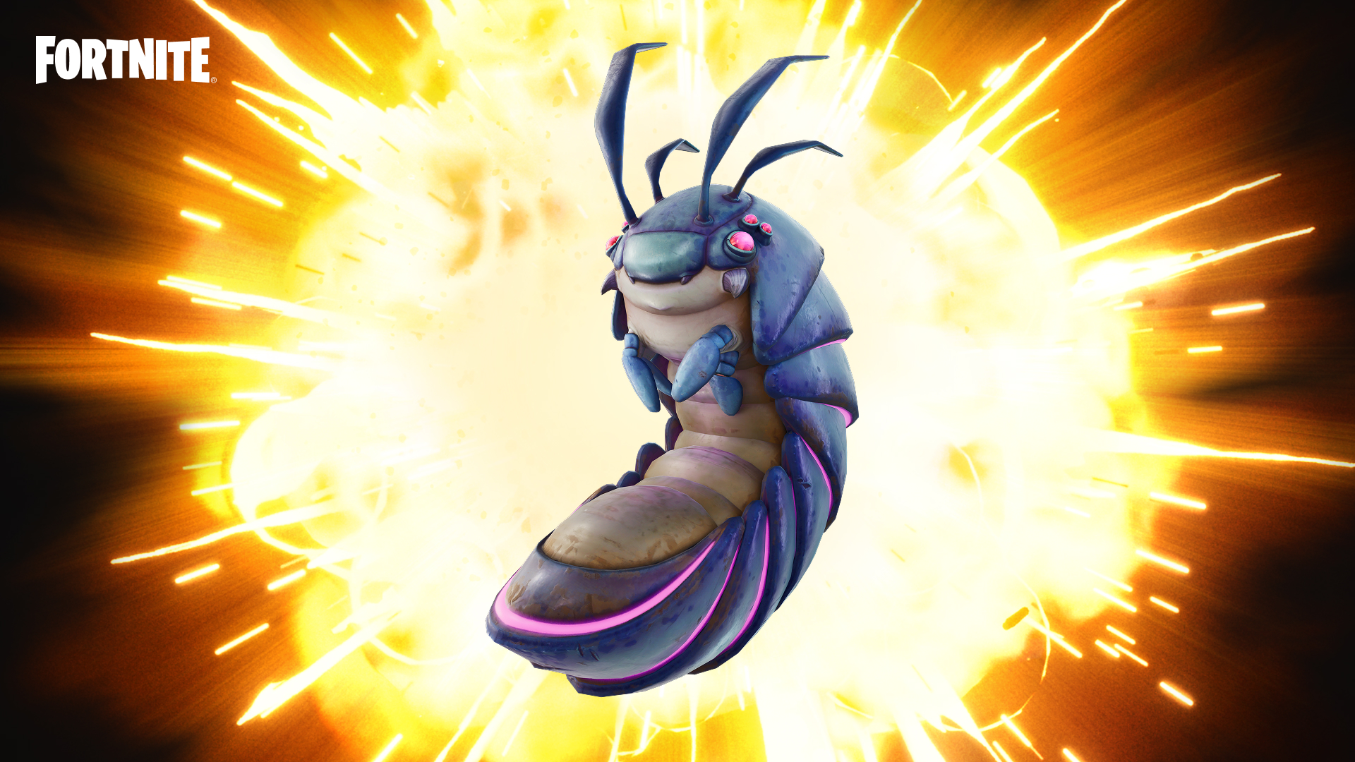 A rolling bug with a blue and purple body