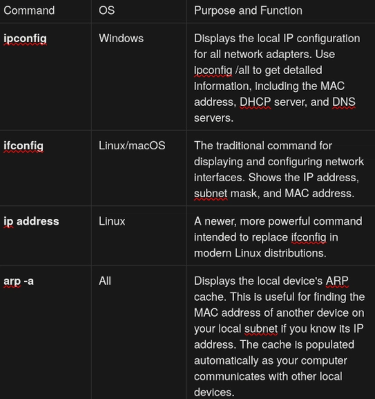 Local IP and MAC Address Information Tools