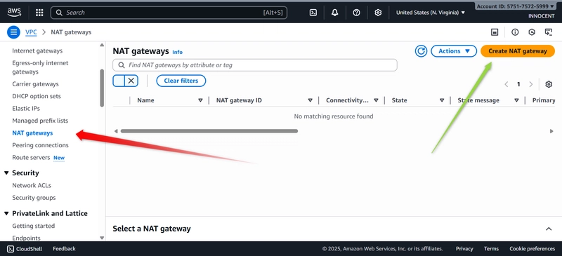 Go to NAT gateway with red arrow and create NAT Gateway on green