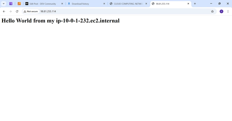 The Public -IPv4 address on website-showing--> Hello World from my ip-10-1-232.ec2.internal