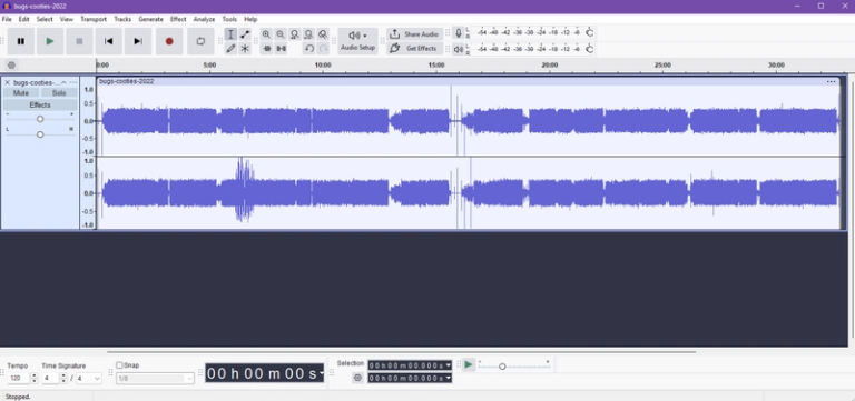 Screenshot of Audacity