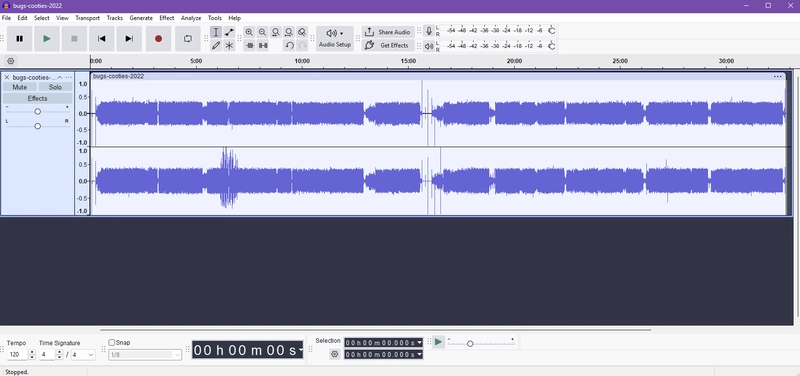 Screenshot of Audacity